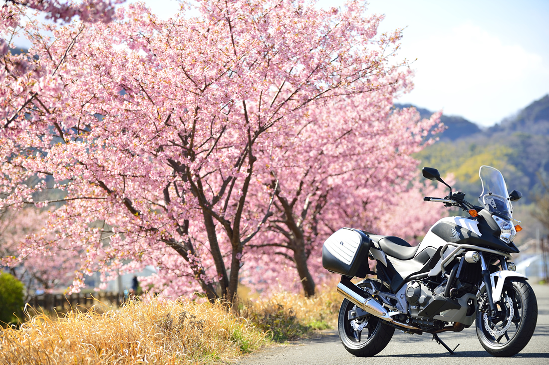 美しき桜・紅葉の名所へ