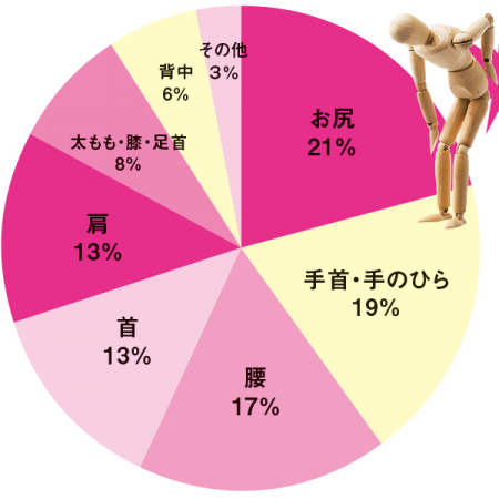 お尻21％ 手首・手のひら19％ 腰17％ 首13％ 肩13％ 太もも・膝・足首8％ 背中6％ その他3％