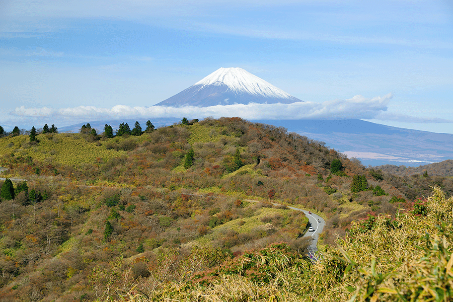 画像の説明