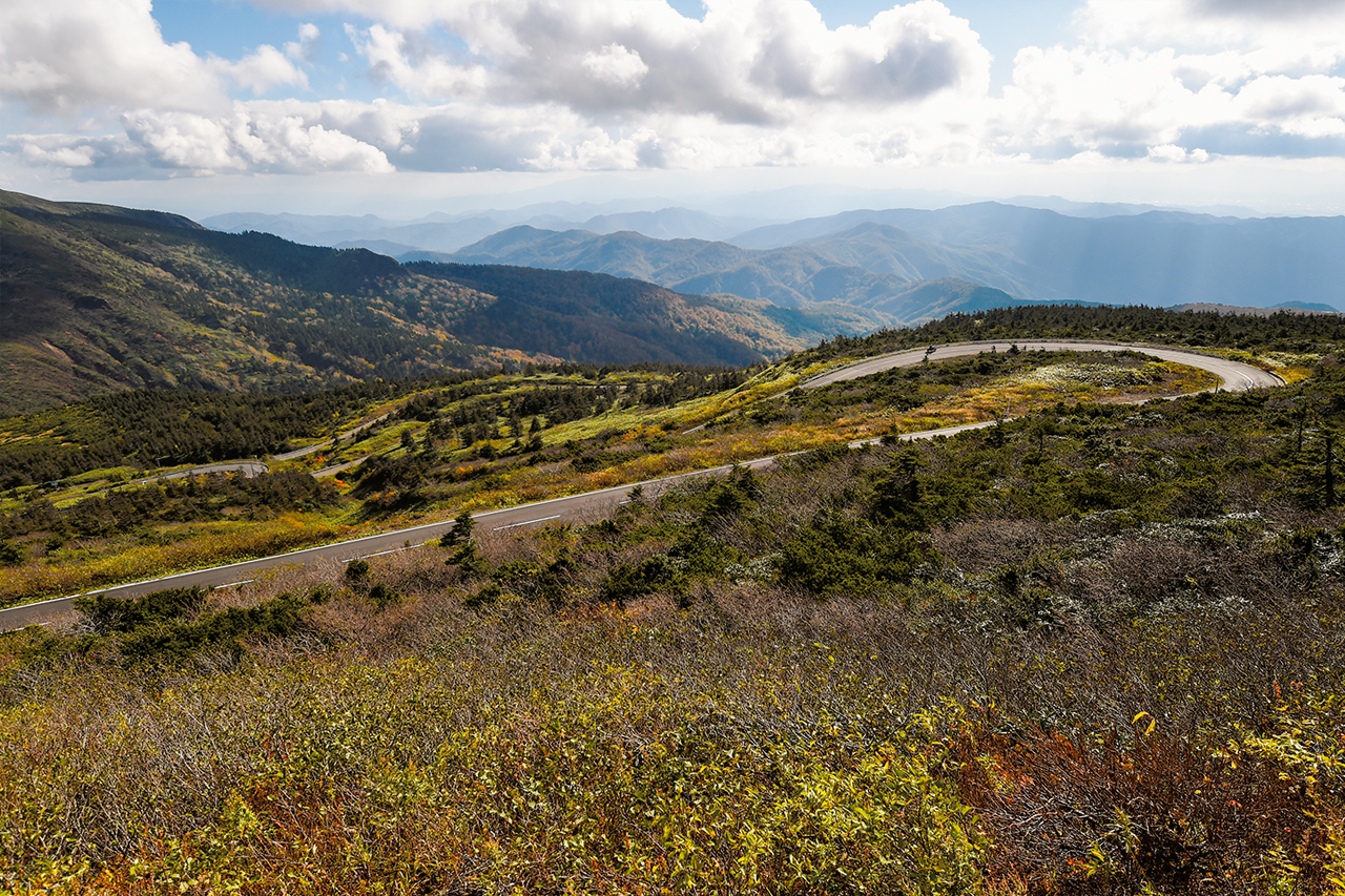 みや RE雨宮/AMEMIYA 強化エアセパレータータンク E0-022033-091