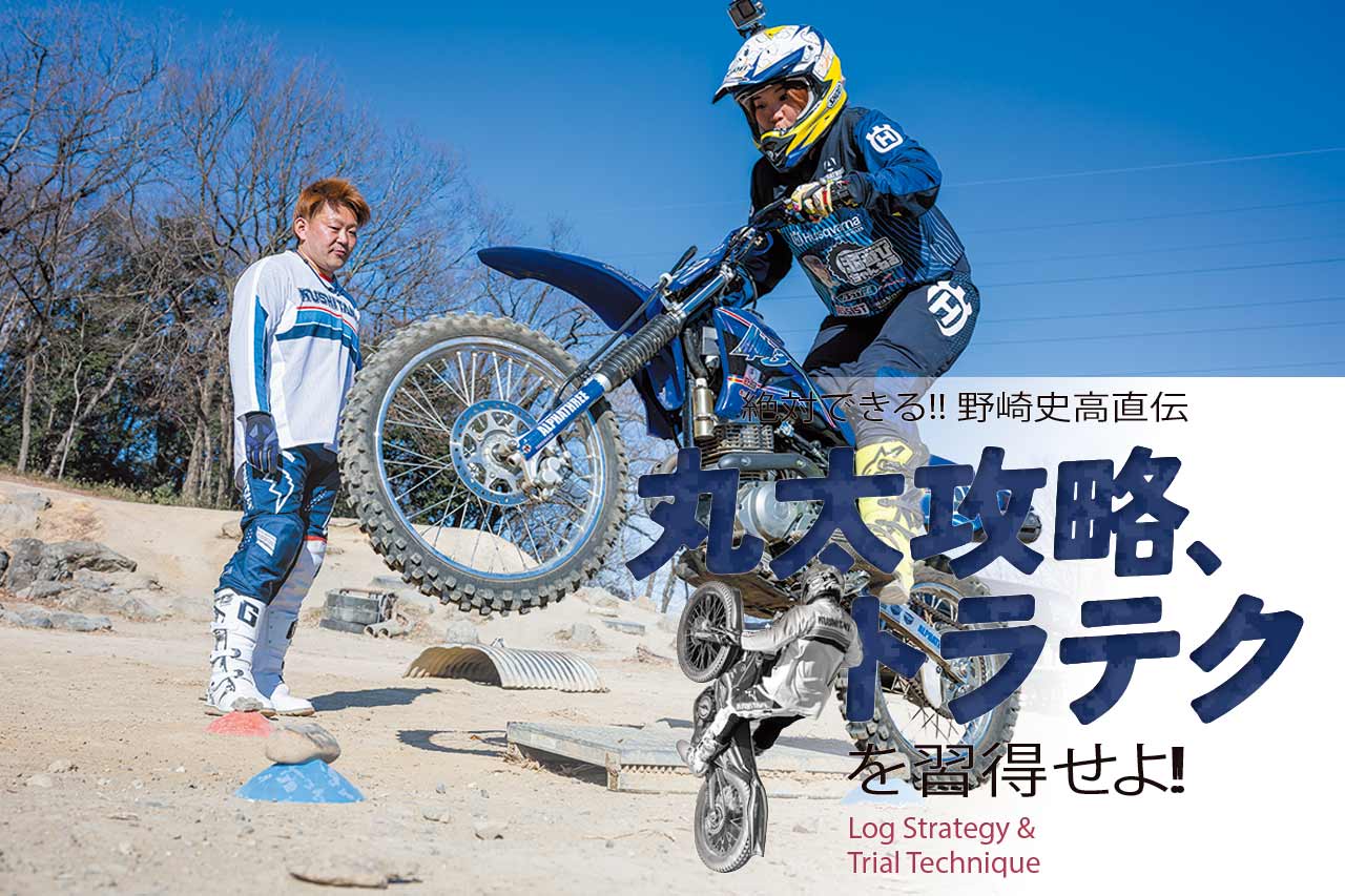 変更✿アルフレッド•リー作 ワイルドホース ペンダントトップのみ