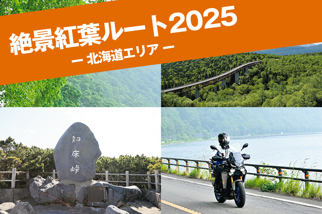 紅葉　国広作品 Koji Tezuka / Shizuoka Japan | 紅葉2025 ピンクのふわふわがとても